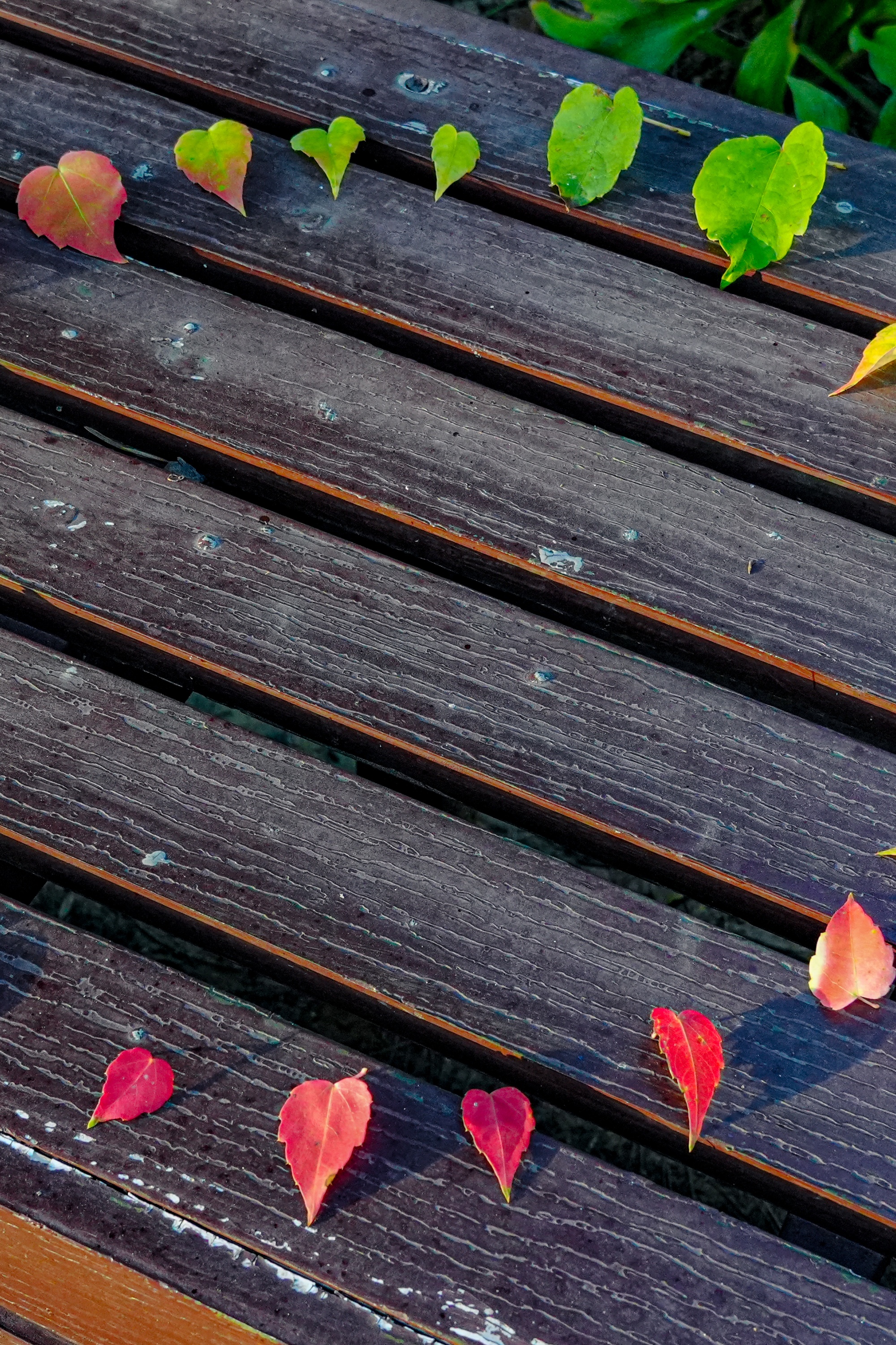 Pick Up the Autumn at UCAS