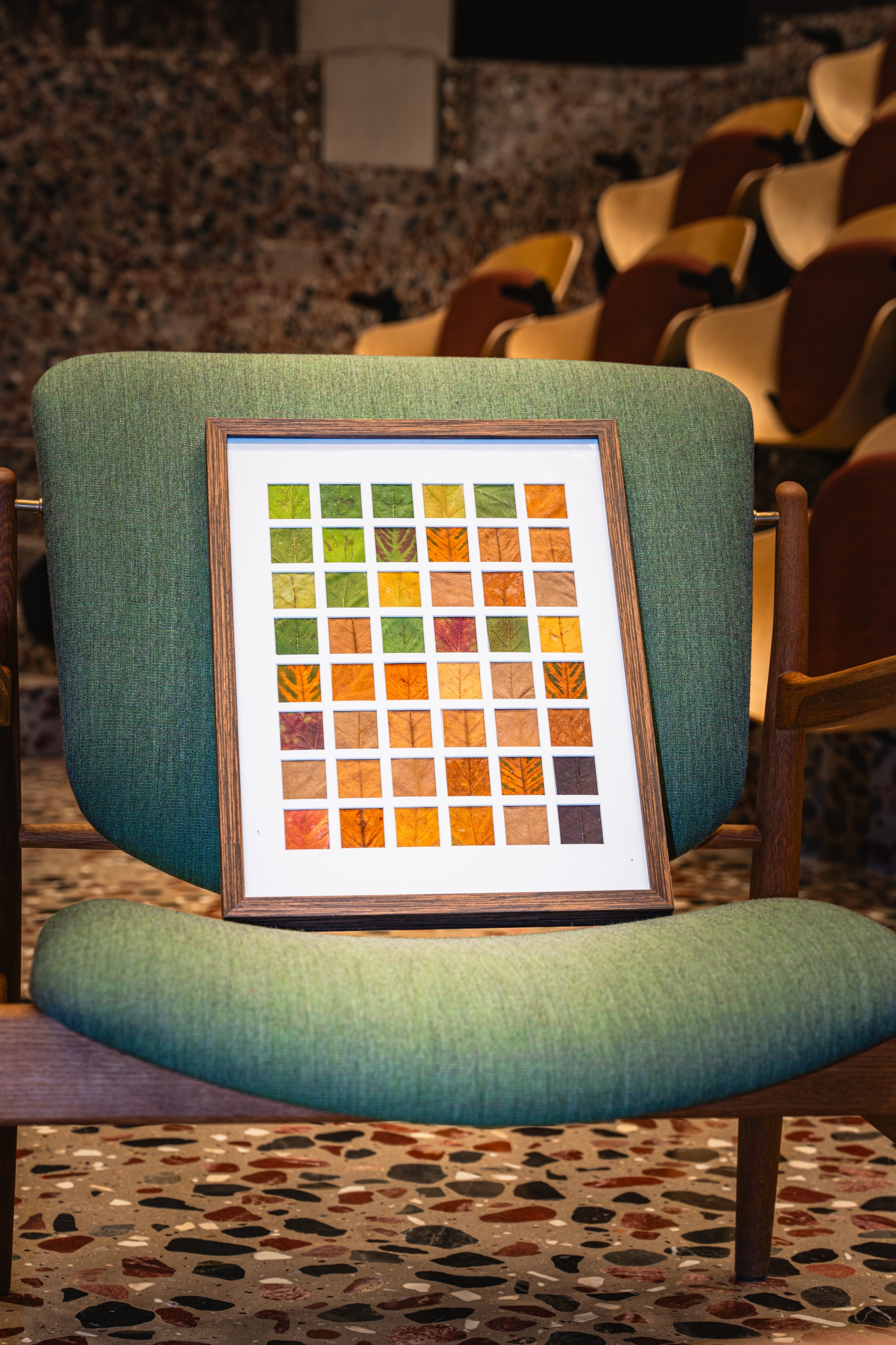 Pick Up the Autumn at UCAS