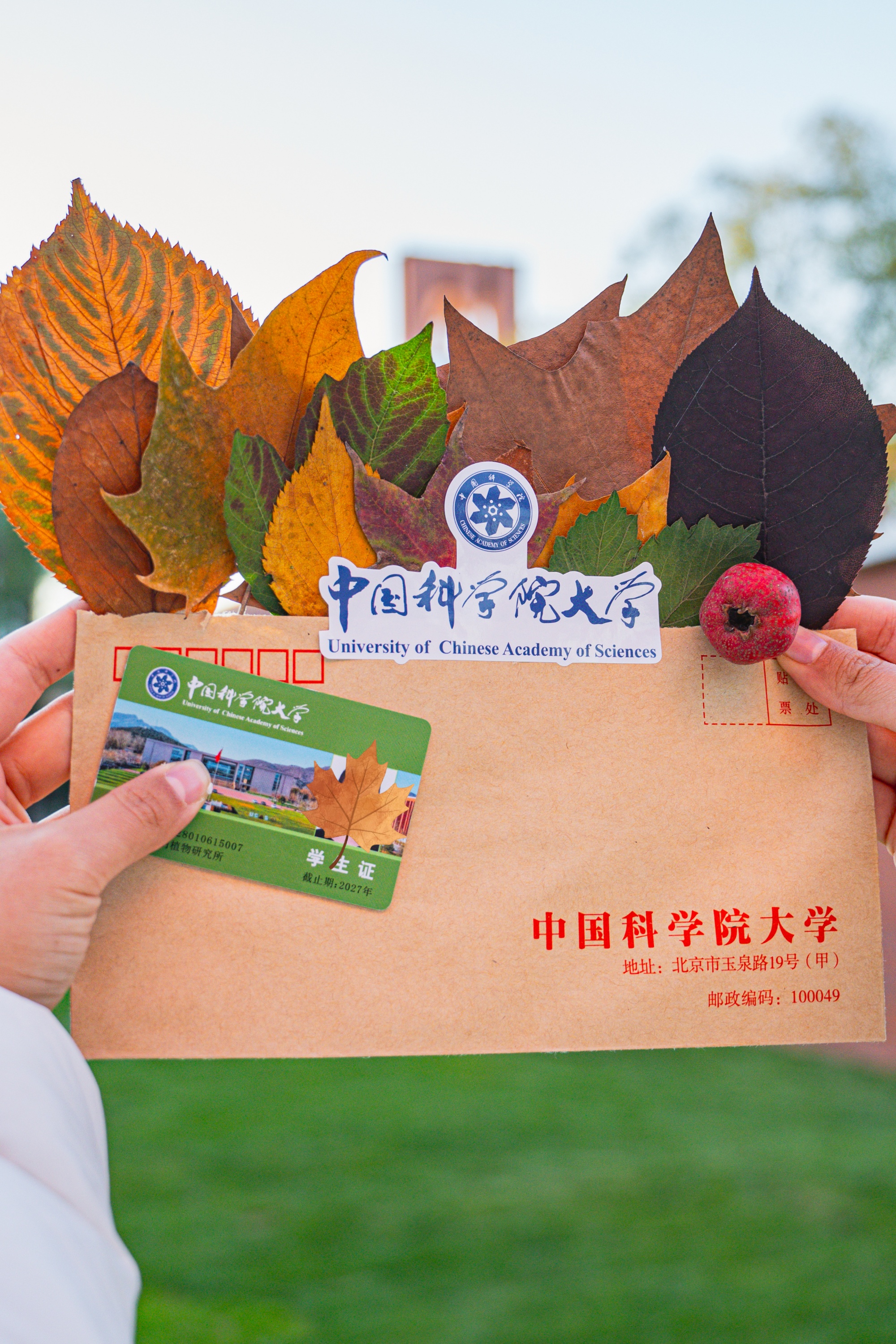 Pick Up the Autumn at UCAS